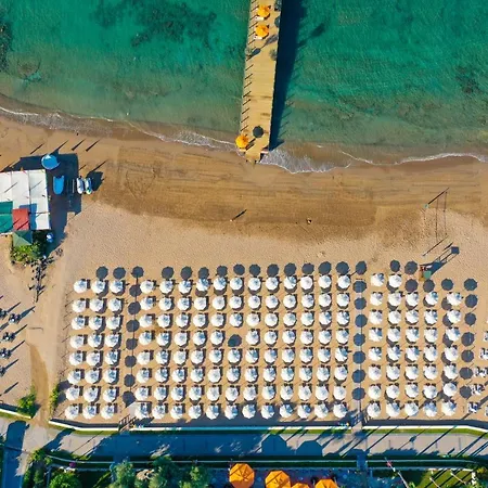 Arum Barut Collection 5*
